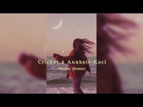 𝑪𝒓𝒊𝒄𝒌𝒆𝒕 𝒙 𝑨𝒏𝒙𝒉𝒆𝒍𝒐 𝑲𝒐𝒄𝒊 - 𝑴𝒂𝒅𝒂𝒎 (𝒔𝒍𝒐𝒘𝒆𝒅)