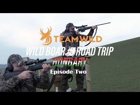 Wild Boar Hunting: Driven Hunting Shooting Skills and Techniques