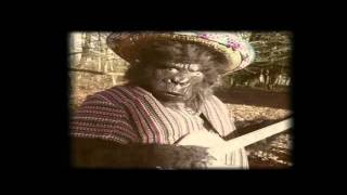 The Twang - Guapa (Official Video)