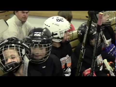 Veszprémi Jéglovagok