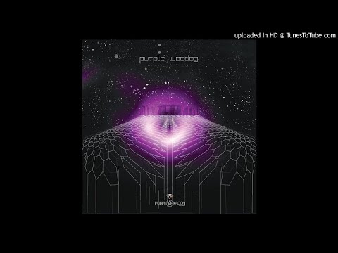 Shadow Shaman - Drunken Jitterbug