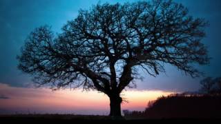 Heidenreich - Heart of Midnight