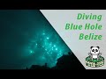 Diving the Blue Hole and the Lighthouse Reef Belize