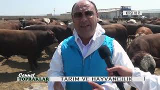 KIRŞEHİR  TARIM VE ORMAN İL MÜDÜRÜ KENAN ŞAHİN ! Cennet Topraklar