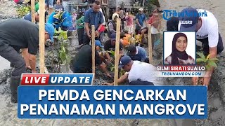 Pemda Maluku Tengah Galakkan Penanaman Mangrove di Pantai Lesane, Upaya Cegah Abrasi