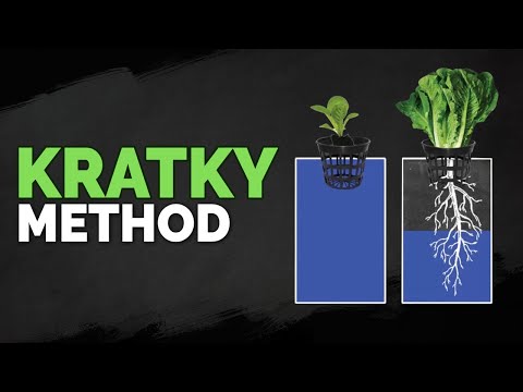 , title : 'How to Set Up The Kratky Hydroponics Method (Tutorial)'