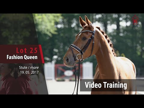 25 Fashion Queen v. Fashion Maker - Laudabilis_Trainingsvideo