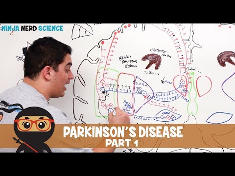 Parkinson's Disease | Clinical Presentation | Part 1