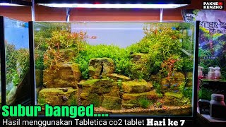 #329 Solusi co2 Aquascape untuk pemula no ribet,low budget