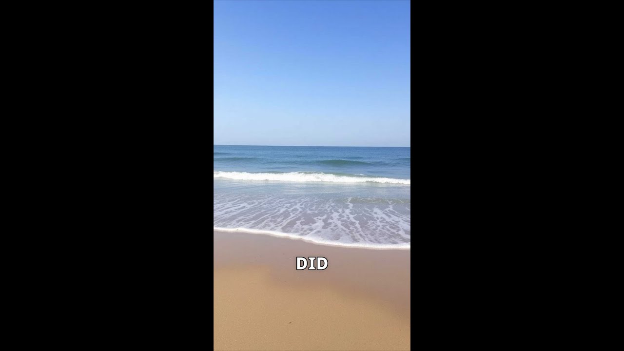 Stay Safe: Understanding Rip Currents