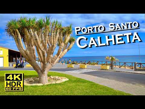Porto Santo Calheta | Ponta da Calheta | The Wild Beauty 🇵🇹 | 4K 60fps HDR Beach Walk 💖 Best Places