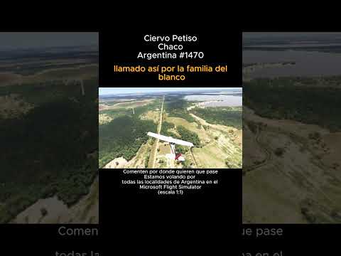 Ciervo Petiso, Chaco desde el Microsoft Flight Simulator #ciervopetiso #chaco #msfs #argentina