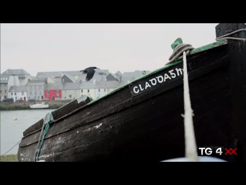 Fáinne Geal An Lae / The Dawning Of The Day | Trad TG4 - TG4's Irish Traditional Music channel