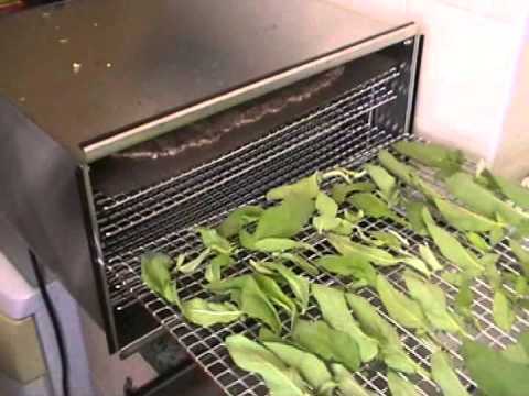 TSM D5 Stainless Steel Dehydrator review