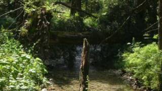 Sopor Aeternus- bardo life (the Tatras)