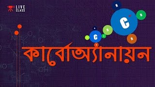 Chemistry 2nd paper | Chapter 2 | কার্বোঅ্যানায়ন | 10 Minute School