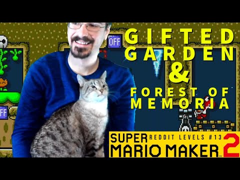 A puzzling puzzle and some tight platforming fun! Viewer Levels #13 [SUPER MARIO MAKER 2]