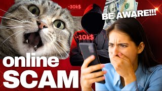 Why This Maine Coon Family Got Scammed! (Avoid these 5 Mistakes)