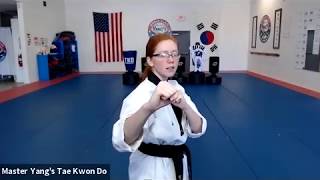 Live Class - Little Tigers & Yellow Stripe
