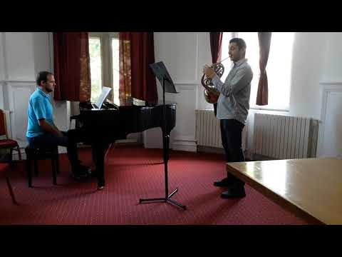 Ștefan Danifeld - A douasprezecea noapte, Dan Buciu