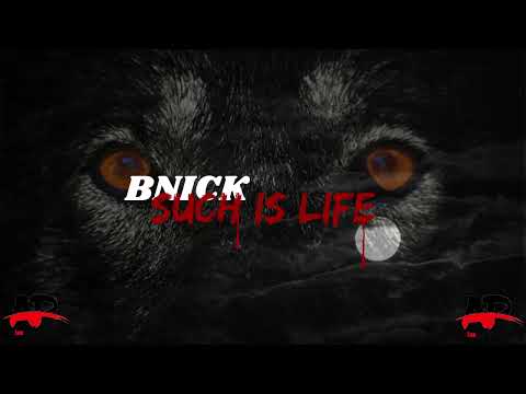 BNICK - SUCH IS LIFE (Radio Edit)