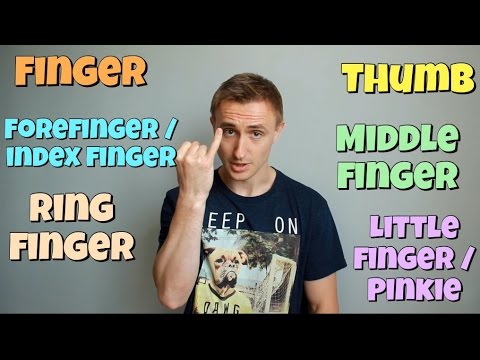 Названия пальцев РУК и НОГ в английском. FINGERS vs TOES