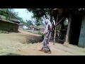 BANGOLI KHISTE DEM