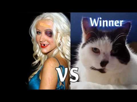 Christina Aguilera vs Hitler Cat