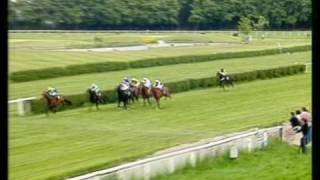 Video koně Intendant xx