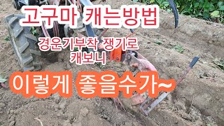 [고구마 재배방법] 고구마 캐는방법 #2 경운기부착 쟁기로 /고구마캐는기계