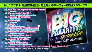 BIG PAAARTYY!! IN THE EDM mixed by DJ FUMI★YEAH!　TRAILER