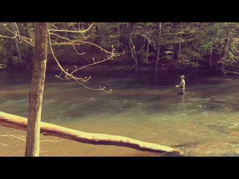 Fly fishing the Clear Fork