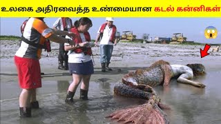 Download lagu கடல் கன்னிகள் உண்மையிலேயே இருப்பதற்கான அதிர்ச்சியூட்டும் 5 ஆதாரங்கள் | Mermaids Exist in Real Life | mp3 Download lagu கடல் கன்னிகள் உண்மையிலேயே இருப்பதற்கான அதிர்ச்சியூட்டும் 5 ஆதாரங்கள் | Mermaids Exist in Real Life | mp3