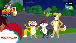 Kochutv Watch HD Mp4 Videos Download Free Kochutv Watch HD Mp4 Videos Download Free