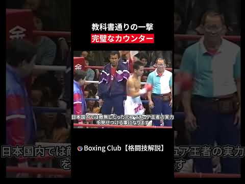 教科書通りの一撃 完璧なカウンター