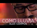 Como Lluvia