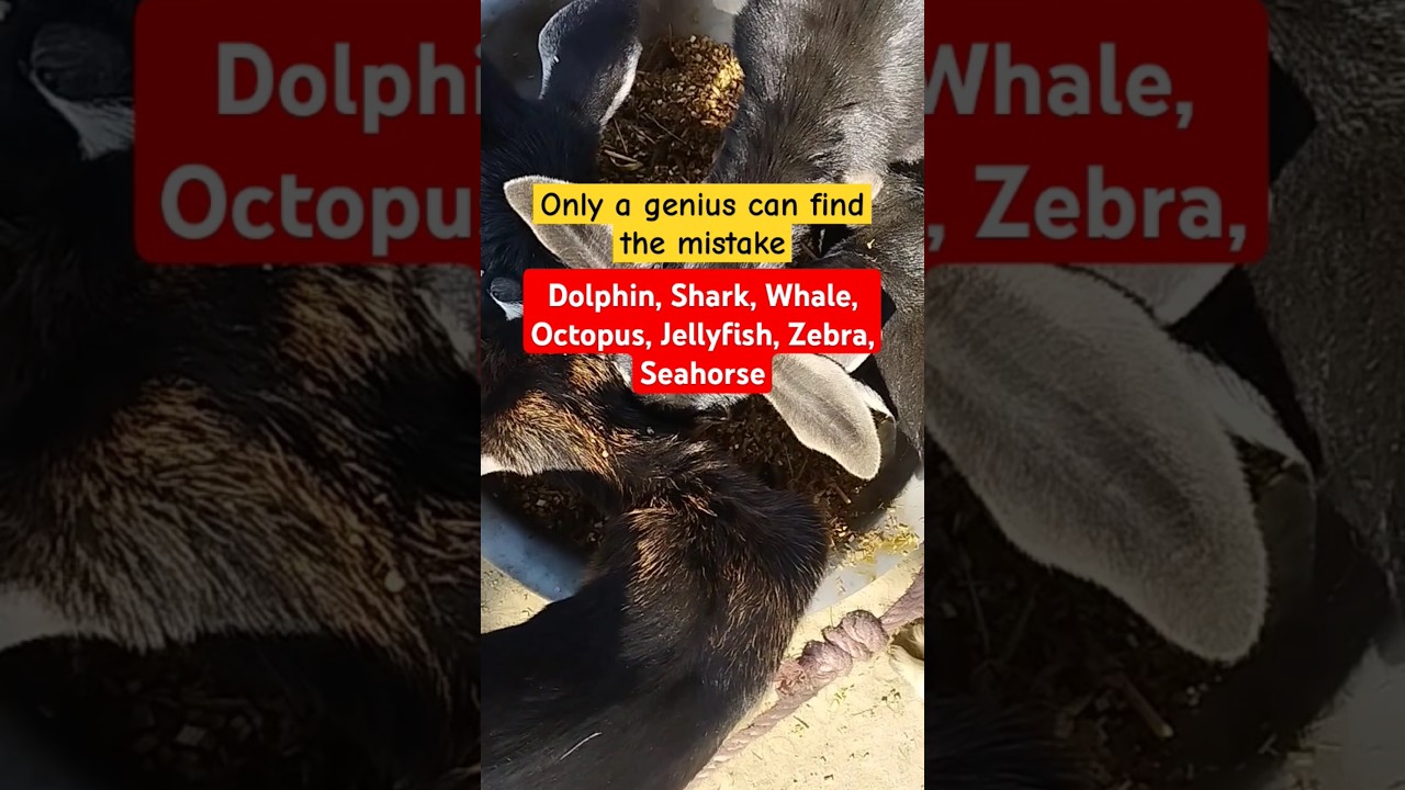 Only a genius can find the mistake. #search #iqtest #brainteasers