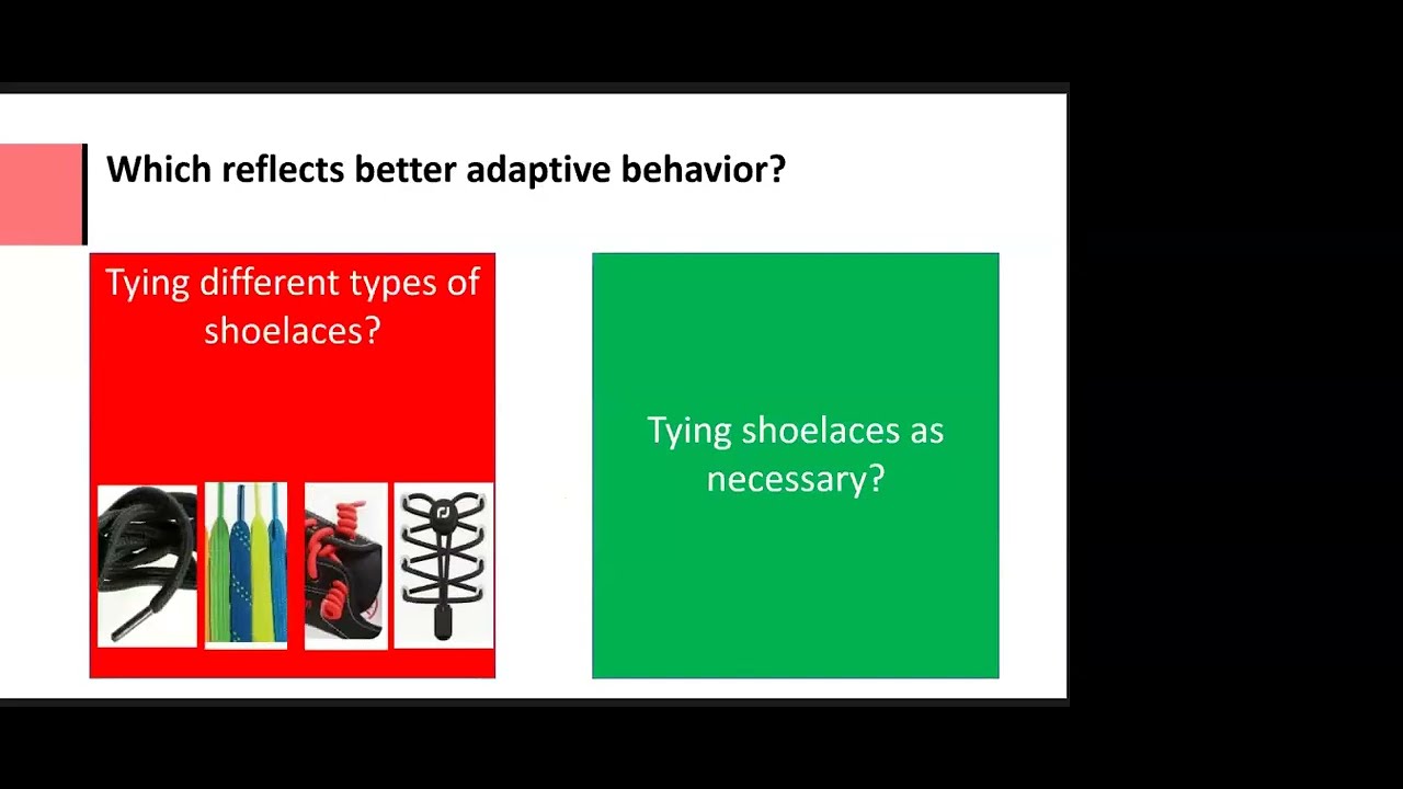 Do Autism Adaptive Behavior Profiles Really Exist? Webinar (Recording)