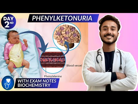 phenylketonuria biochemistry | protein metabolism biochemistry | phenylalanine metabolism defect