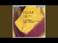 Cello Concerto in E Minor, Op. 85: II. Lento - Allegro molto