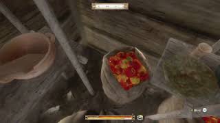 PS4の積みゲー崩し　キングダムカムデリバランス　part1
