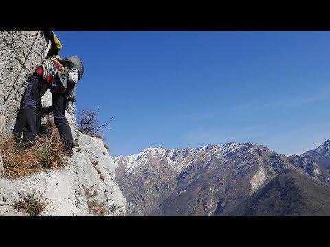 Taveggia - Medale - E l'arte del giardinaggio pensile