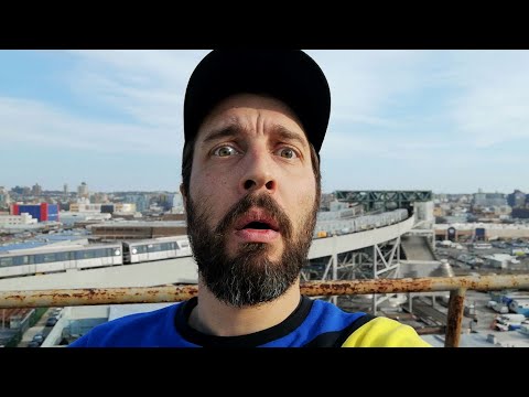 HIPPO - LAST DAY IN BROOKLYN