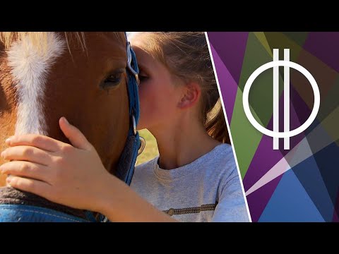 Gizi, a legfiatalabb Nemzeti Vágtás (Hetedhét Kaland)