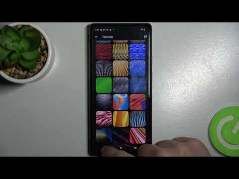 All wallpapers on Google Pixel 6 / default photo wallpapers on Google Pixel 6