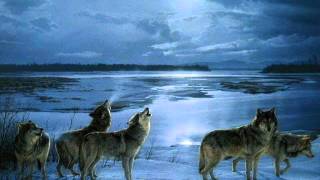 Winter Night ( wolf m-shift music )