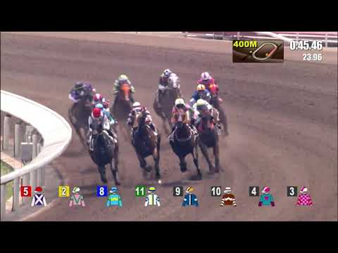 12/9/2021 (20) Steel Win - J Moreira