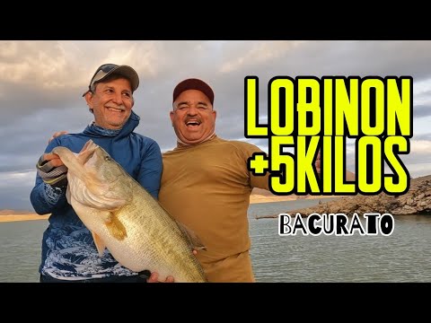 Video destacado