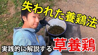 失われた養鶏法！煮草を活用した実践的な草養鶏をお教えします【自然卵養鶏法】