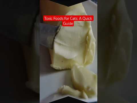 Toxic Foods for Cats: A Quick Guide #toxicfoods #petcare
